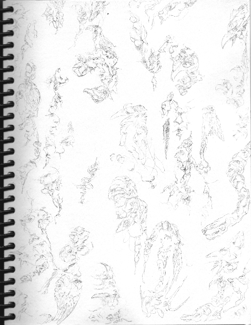 Various designs of abstract figures